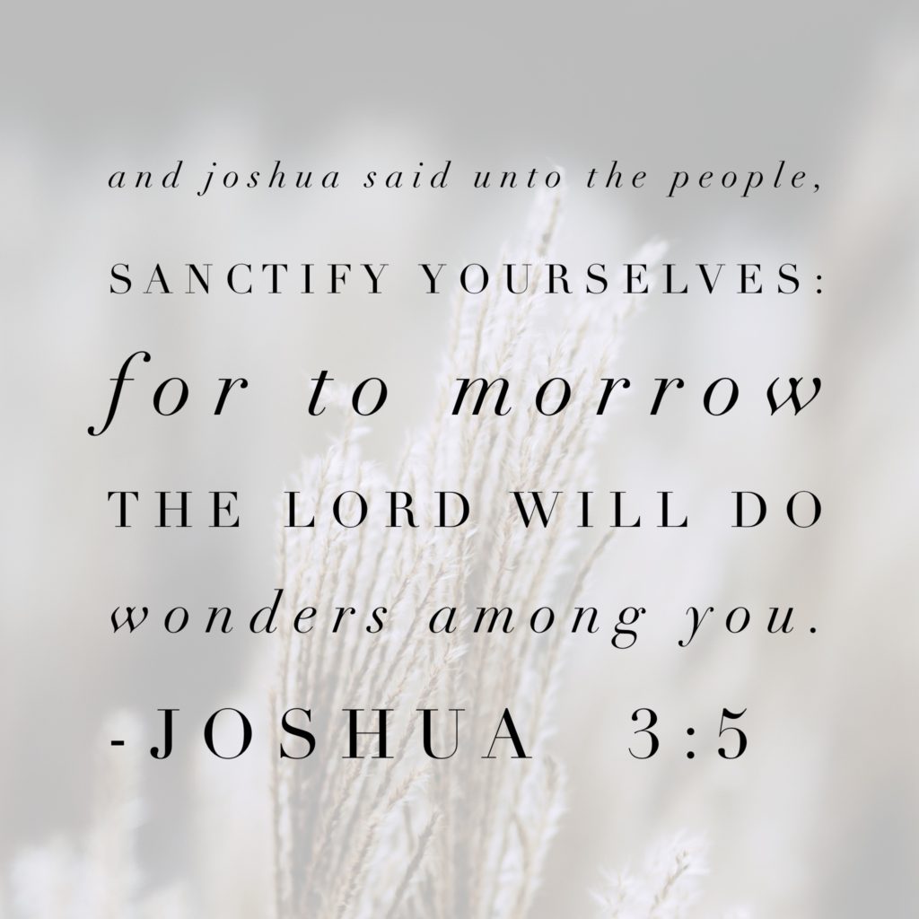 Joshua 3:5