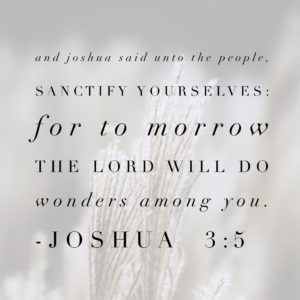 Joshua 3:5