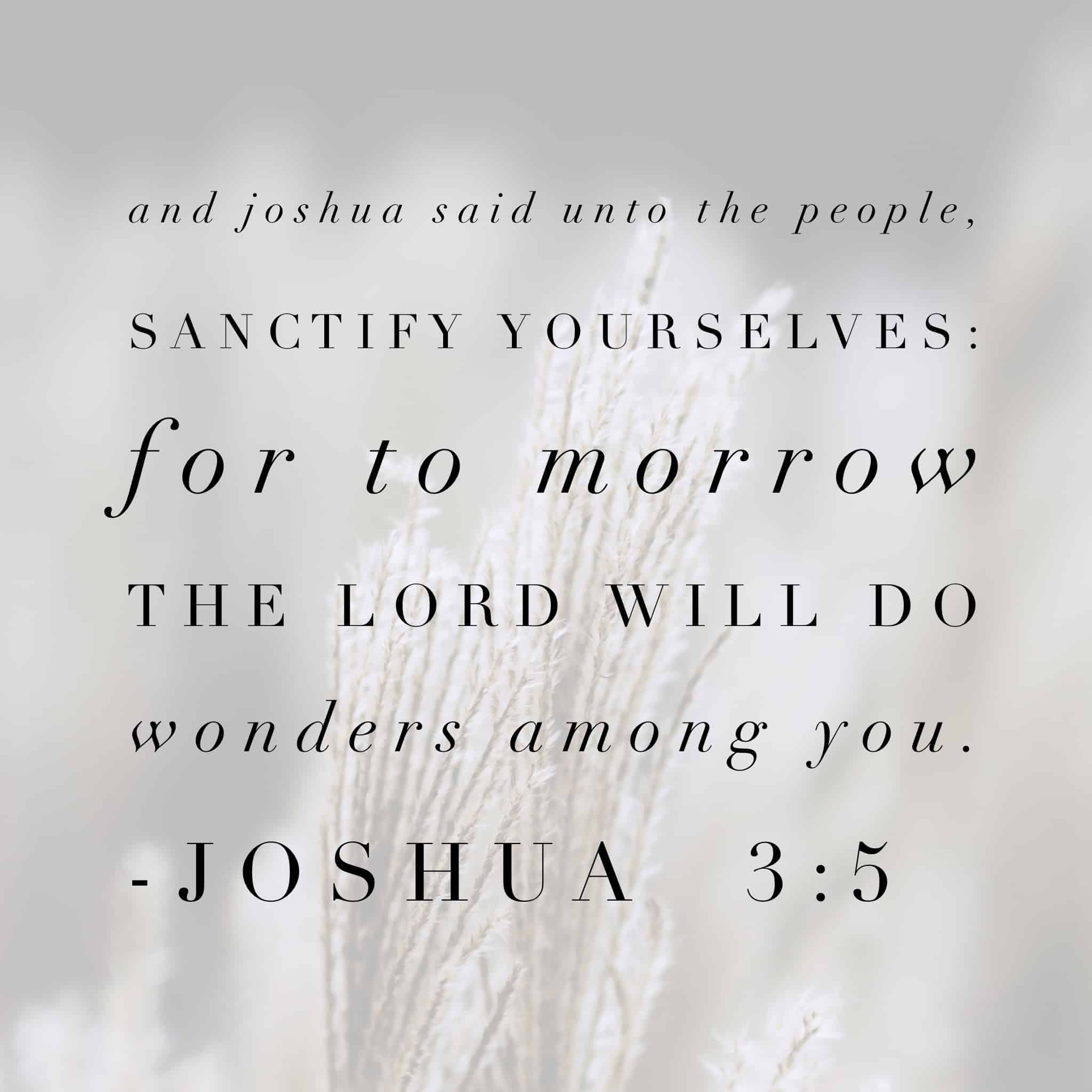 Joshua 3:5
