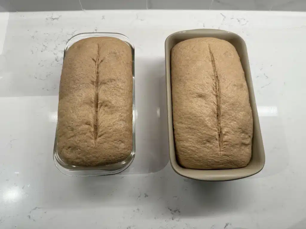 Overhead shot of scored and proofed sourdough sandwich bread dough in 2 loaf pans