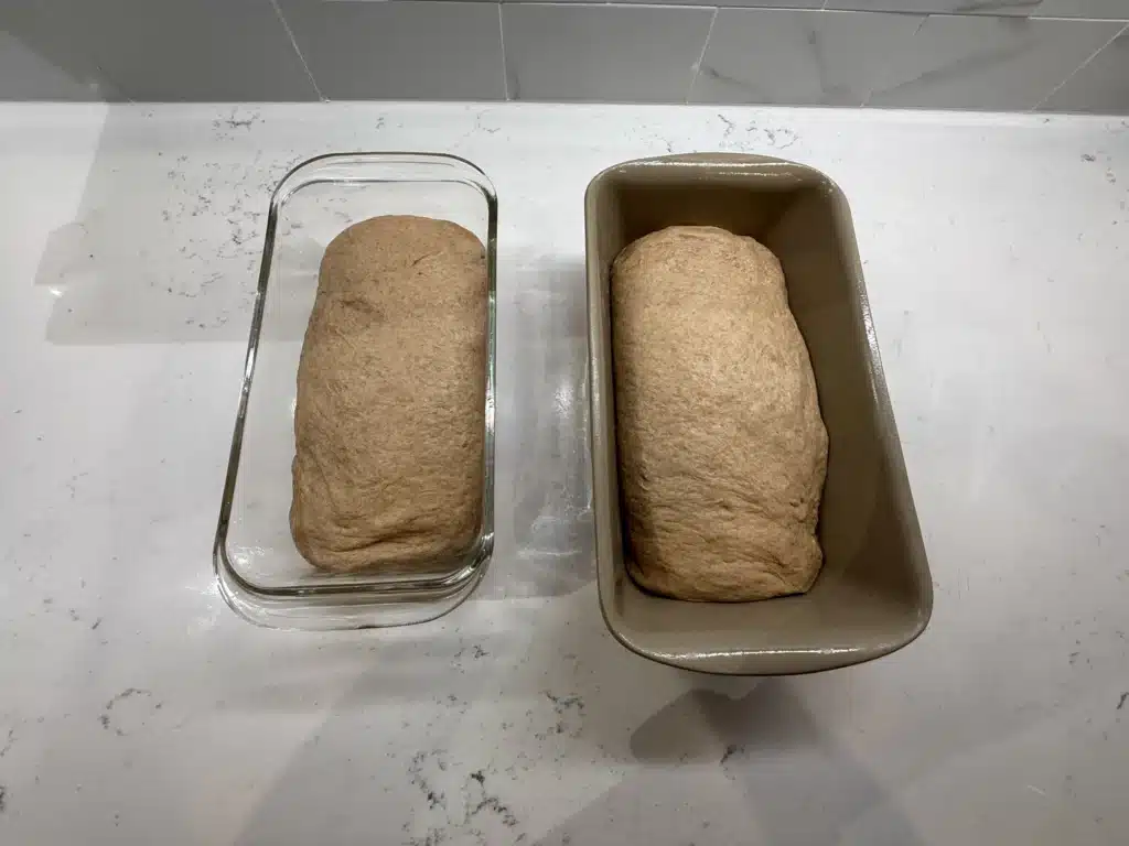 Overhead shot of shaped sourdough sandwich bread dough in 2 loaf pans (before proofing)