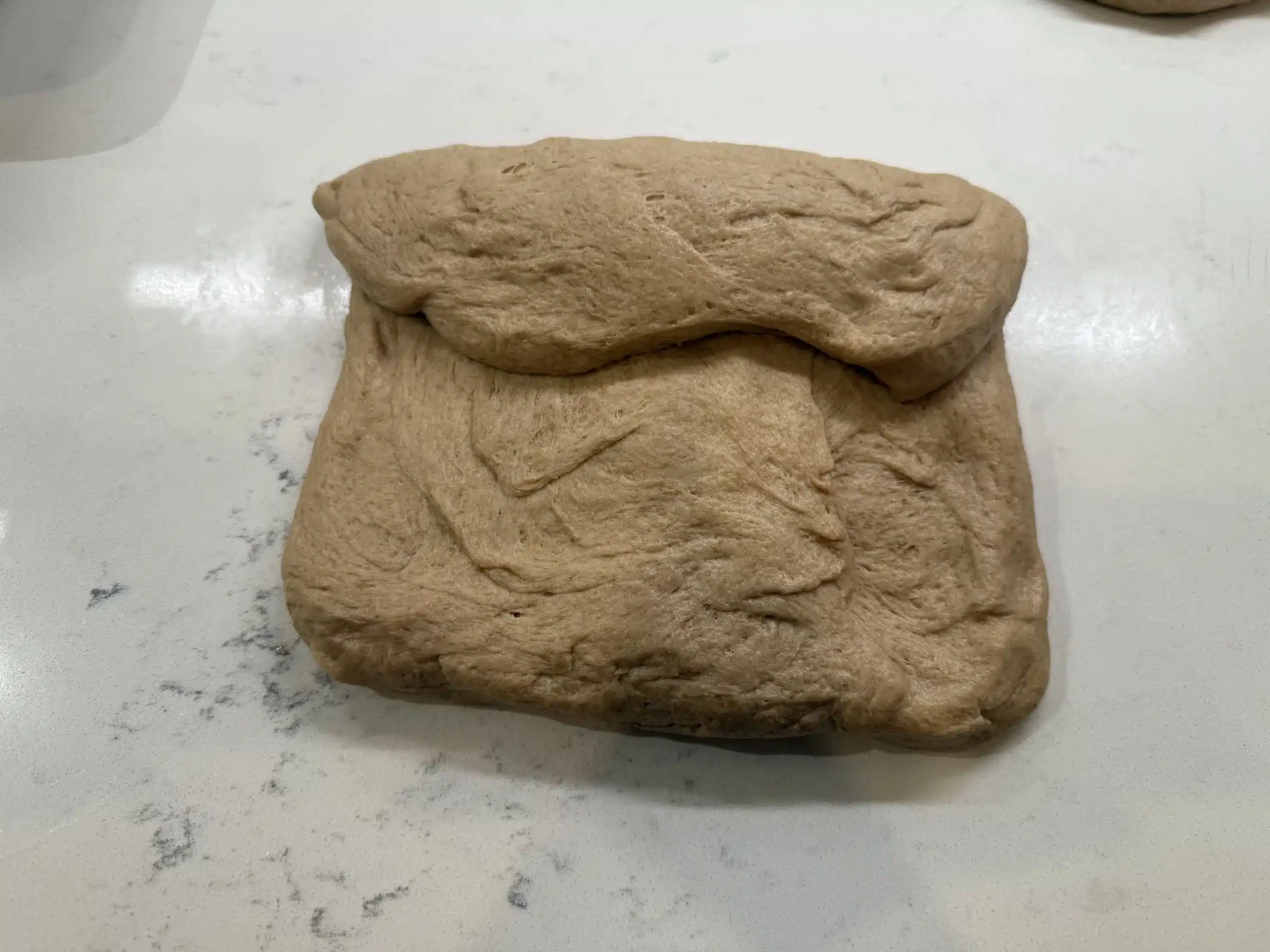 sourdough sandwich bread shaping step 2