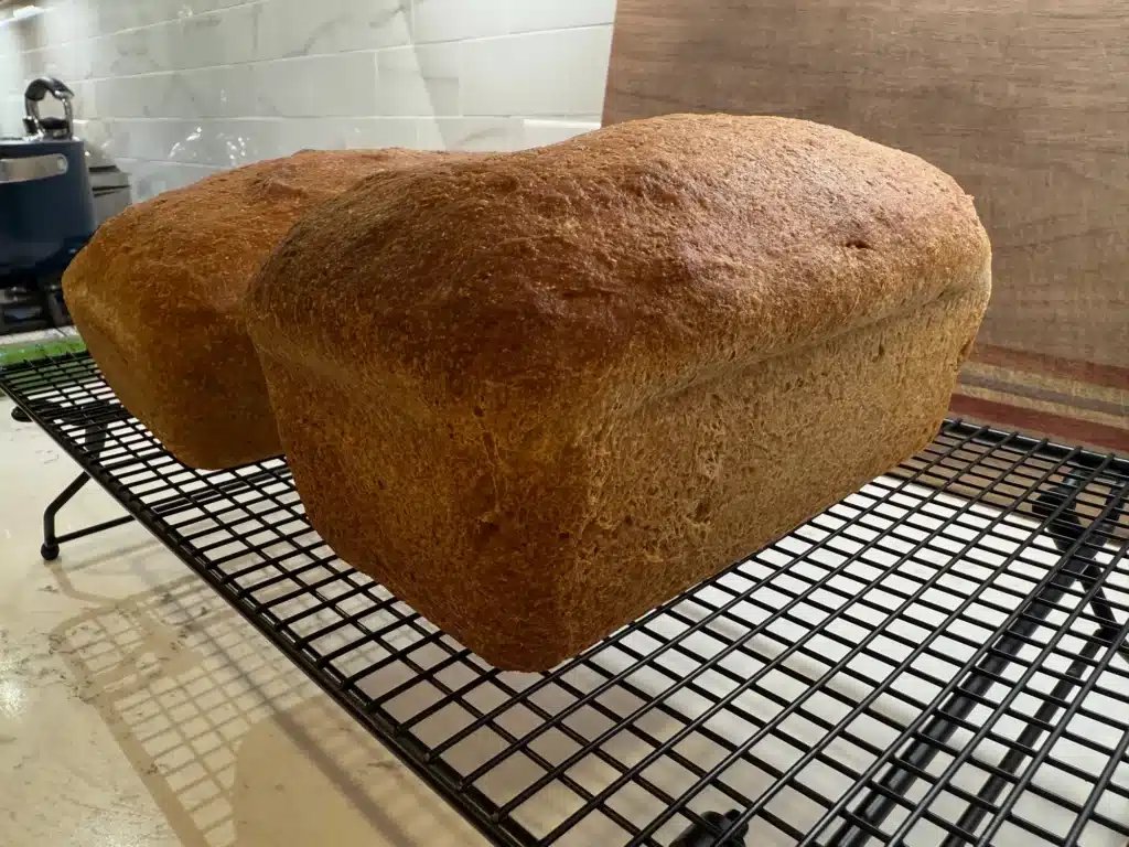 close up of fresh milled sourdough sandwich bread on wire rack