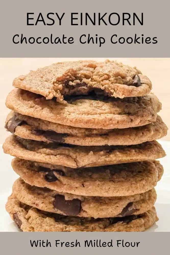 1 - einkorn chocolate chip cookies