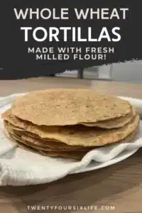 whole wheat tortillas