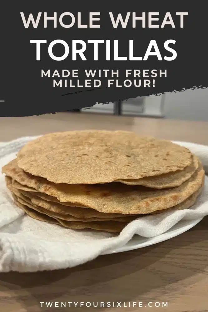 whole wheat tortillas