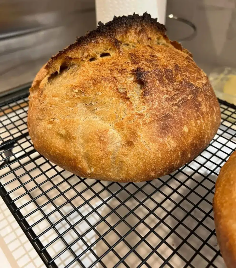 baked sourdough boule with ear on wire rack