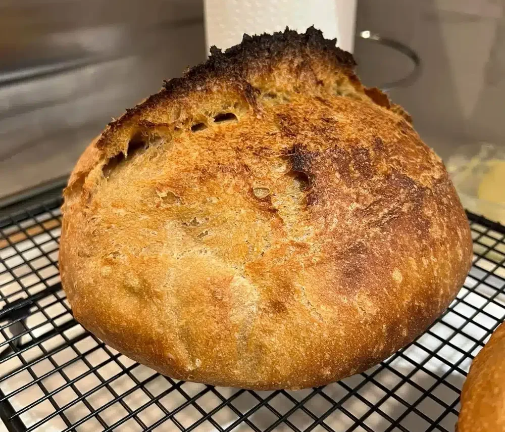 baked sourdough boule with ear on wire rack