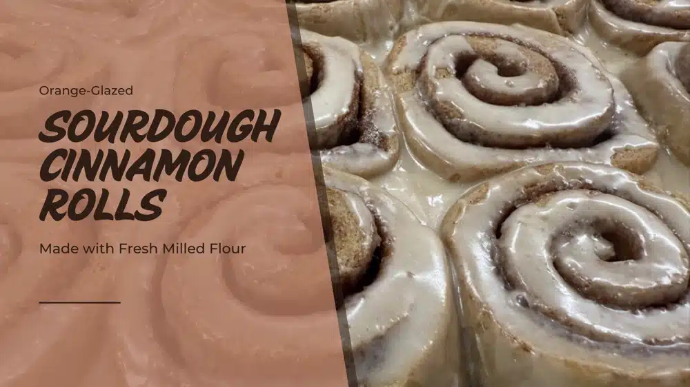 orange glazed sourdough cinnamon rolls blog header