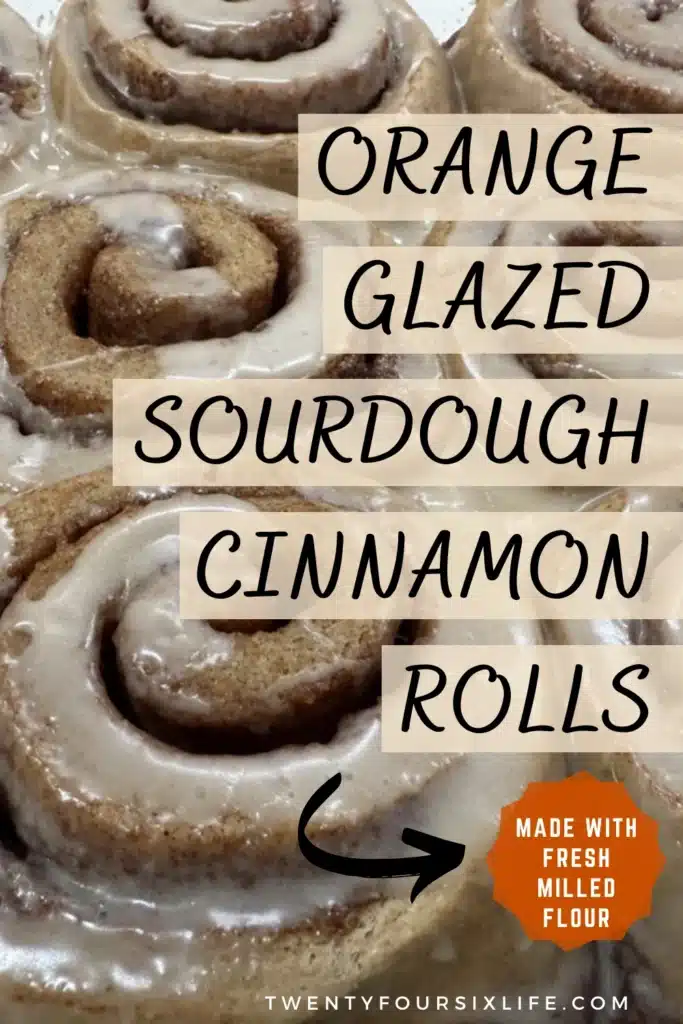orange glazed sourdough cinnamon rolls-1